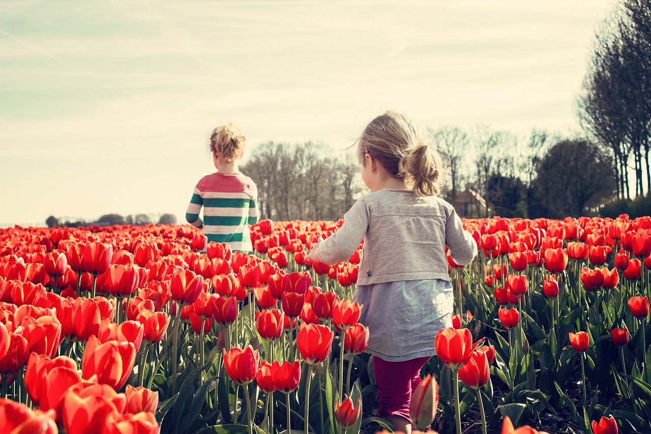 How to Start a Community Garden